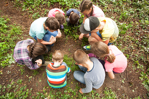 A group of children who are considering something carefully, sitting in a circle on the background of nature
