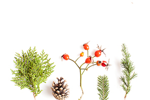 Christmas plants over white background. Flat lay forest and nature concept