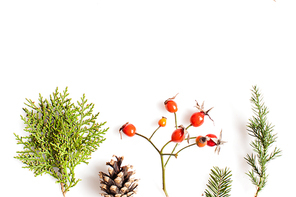 Christmas plants over white background. Flat lay forest and nature concept
