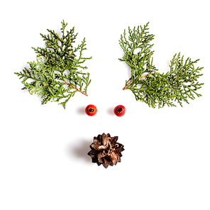 Reindeer Face from natural materials. Christmas deer silhouette picture in minimalistic design concept