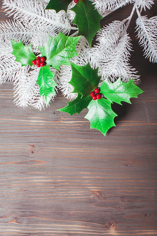 Cristmas Holly berry and fir twigs on the gray