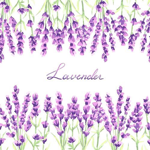 Lavender flowers seamless pattern. Watercolor natural illustration of Provence herbs.