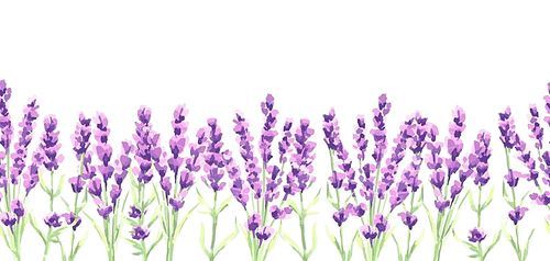lavender flowers seamless . watercolor natural illustration of provence herbs.