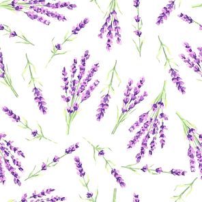 Lavender flowers seamless pattern. Watercolor natural illustration of Provence herbs.