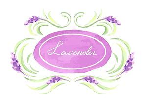 Lavender flowers background design. Watercolor natural illustration of Provence herbs.