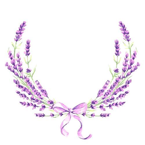 Lavender flowers decorative element. Watercolor natural illustration of Provence herbs.