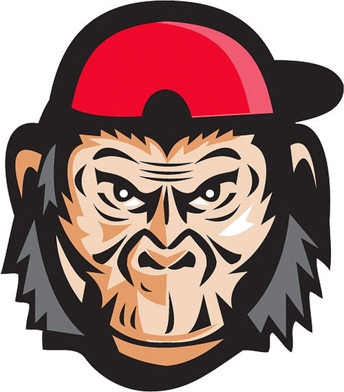 Illustration of head of an angry chimpanzee baseball player wearing baseball cap viewed from front set on isolated white  done in retro style.