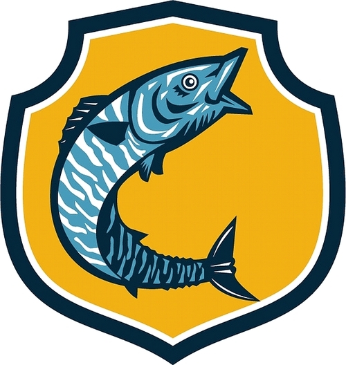 Illustration of a wahoo , Acanthocybium solandri, a scombrid fish jumping up viewed from the side set inside shield crest on isolated background done in retro style.
