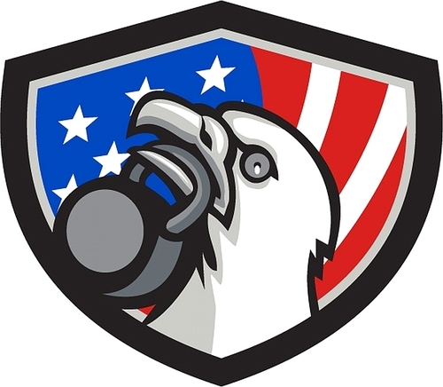 Illustration of an american bald eagle head looking up to the side lifting kettleball with beak set inside shield crest with american usa flag in the background.