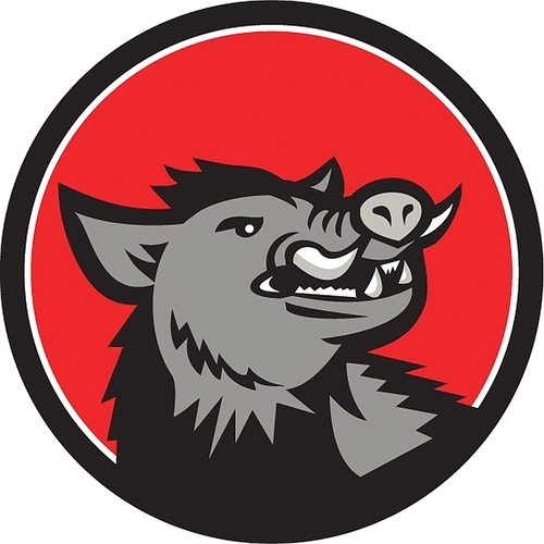 Illustration of an angry wild pig boar razorback head looking up to the side viewed from the front set inside circle done in retro style.