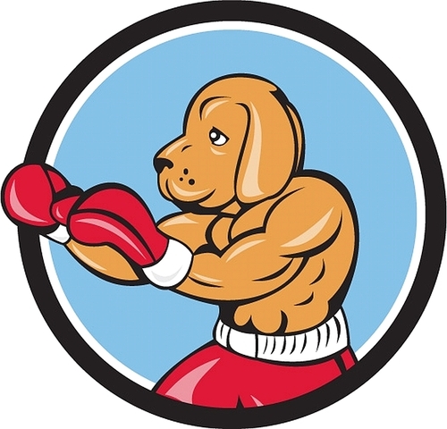 Illustration of a dog boxer in a fighting stance viewed from the side set inside circle on isolated background done in cartoon style.