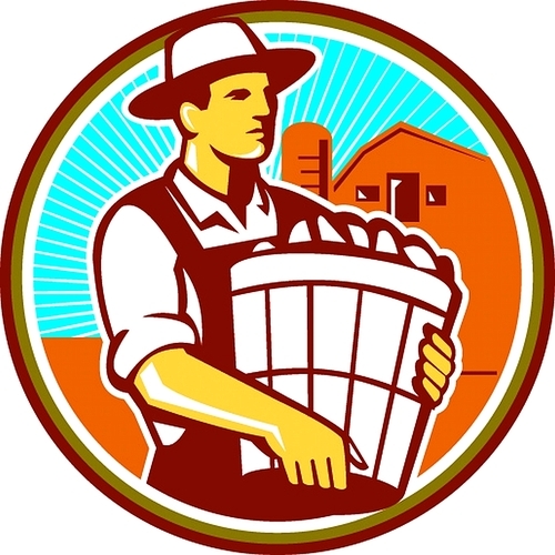 Illustration of an organic farmer wearing hat carrying basket of harvest crops looking to the side set inside circle with barn and sunburst in the background done in retro style.
