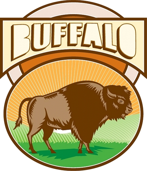 Illustration of an american bison buffalo bull viewed from the side set inside oval shape with sunburst and field in the background and the word Buffalo set inside rectangle shape done in retro woodcut style.