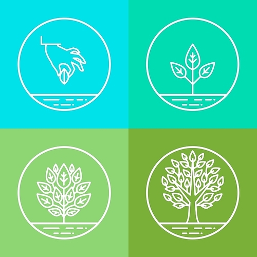 Vector infographics design elements and icons in linear style - business development and growth concepts - growing plant from seed to tree