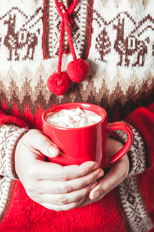 Female hands is holding a mug cocoa with marshmallow