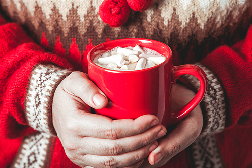 Female hands is holding a mug cocoa with marshmallow