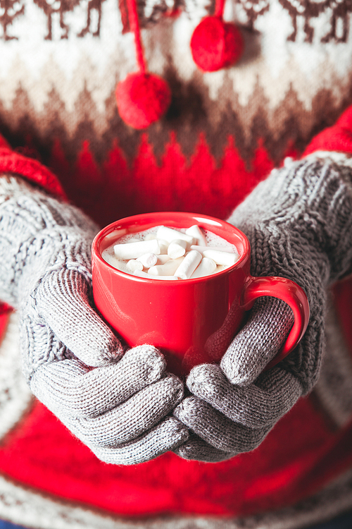 Warm winter photo which hands in knitted gloves holding a mug cocoa with marshmallow