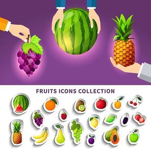 Fruits icons collection with composition from watermelon pineapple grape in hands on purple background isolated vector illustration