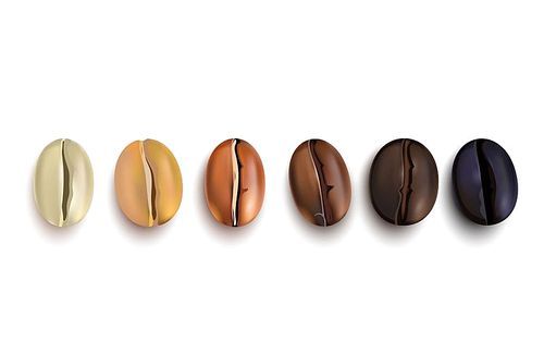 Coffee beans realistic set showing various stages of roasting isolated on white  vector illustration