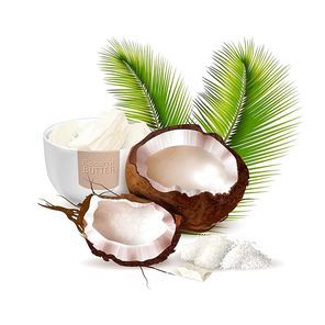 Ripe cracked coconut palm leaves and bowl of butter on white background realistic vector illustration