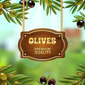 Premium quality olives background with natural product symbols cartoon vector illustration