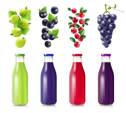 Realistic bottles with berry juice set from gooseberry black currant cranberry and grape isolated vector illustration