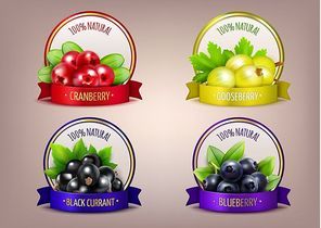 Berry labels realistic eco collection with branches of gooseberry cranberry blueberry and black currant isolated vector illustration
