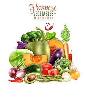 Harvest of autumn vegetables design concept with colorful icons of greengrocery courgette pumpkin tomato carrot garlic cabbage  realistic vector Illustration
