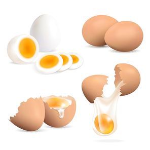 Hard boiled and raw eggs realistic set isolated on white  vector illustration
