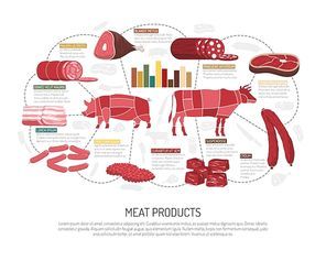 Meat market product variety infographic presentation  with pork lamb beef sausages ham bacon and delicatessen flat vector illustration