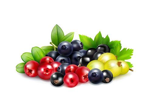 Berry mix realistic concept with leaves and branches of blueberry cranberry gooseberry   and black currant vector illustration