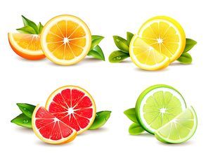 Citrus fruits halves and quarter wedges 4 realistic icons square with orange grapefruit lemon isolated vector illustration