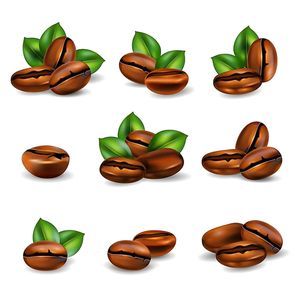 Roasted coffee beans with leaves realistic set isolated on white background vector illustration