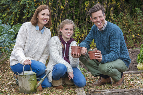 Attractive, successful and happy family, man, woman, girl child, mother, father and daughter gardening together in a garden vegetable patch