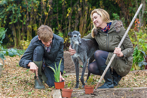 Happy smiling mother and teenage son, male boy child and woman gardening in a garden vegetable patch with their pet dog