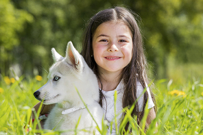 Little girl with husky puppy outdoors at summer grass field with dandelions