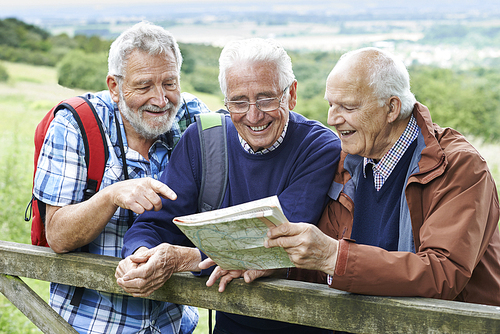 Group Of Senior Male Friends Hiking In Countryside