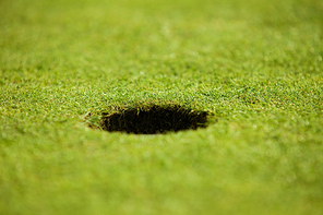 Close-up of hole on putting green