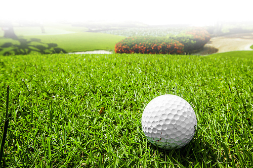 Golf ball on green grass of golf course , close up