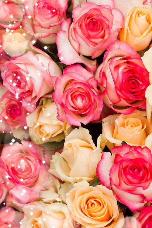 Beige and pink roses background, pattern for wedding design