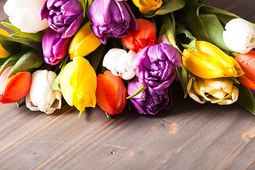 Color tulips on the rustic gray wooden board. Spring concept with copy space