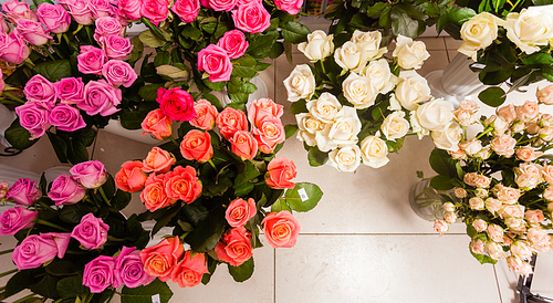 Collection of beautiful roses for sale at a floristic shop