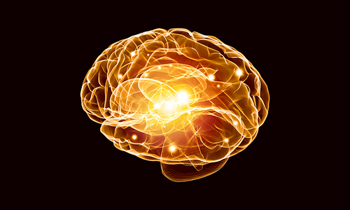 Concept of human intelligence with human brain on black background