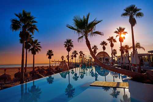 Resort pool in the beach with palm trees at sunrise