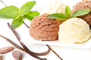Cocoa and vanila ice cream scoop on white plate