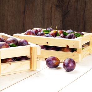 Wooden crate with plums on white table