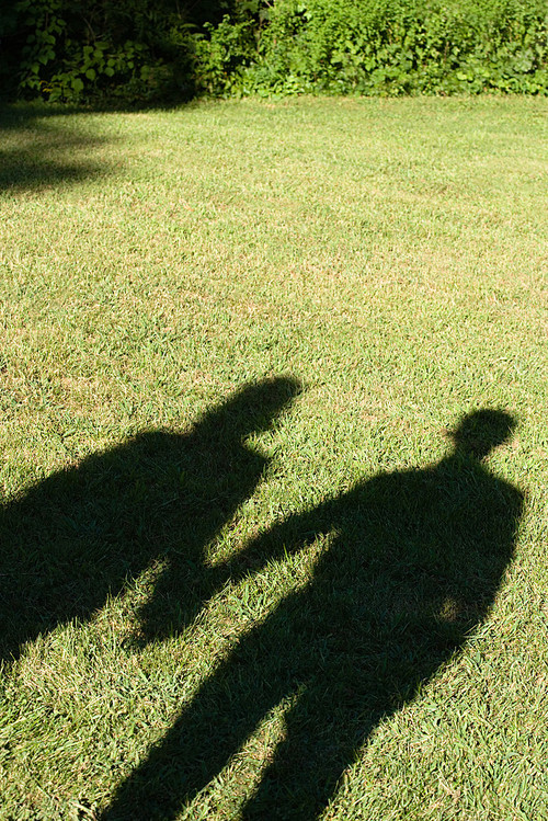 Shadows of a couple on a lawn