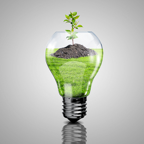 Electric light bulb and a plant inside it as symbol of green energy