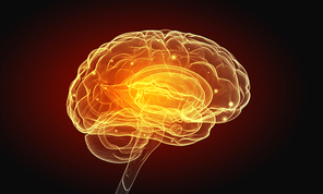 Science image with human brain on dark background