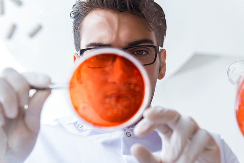 Chemist working in the laboratory with hazardous chemicals